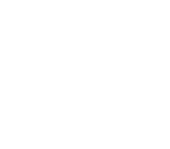 Logo RCV