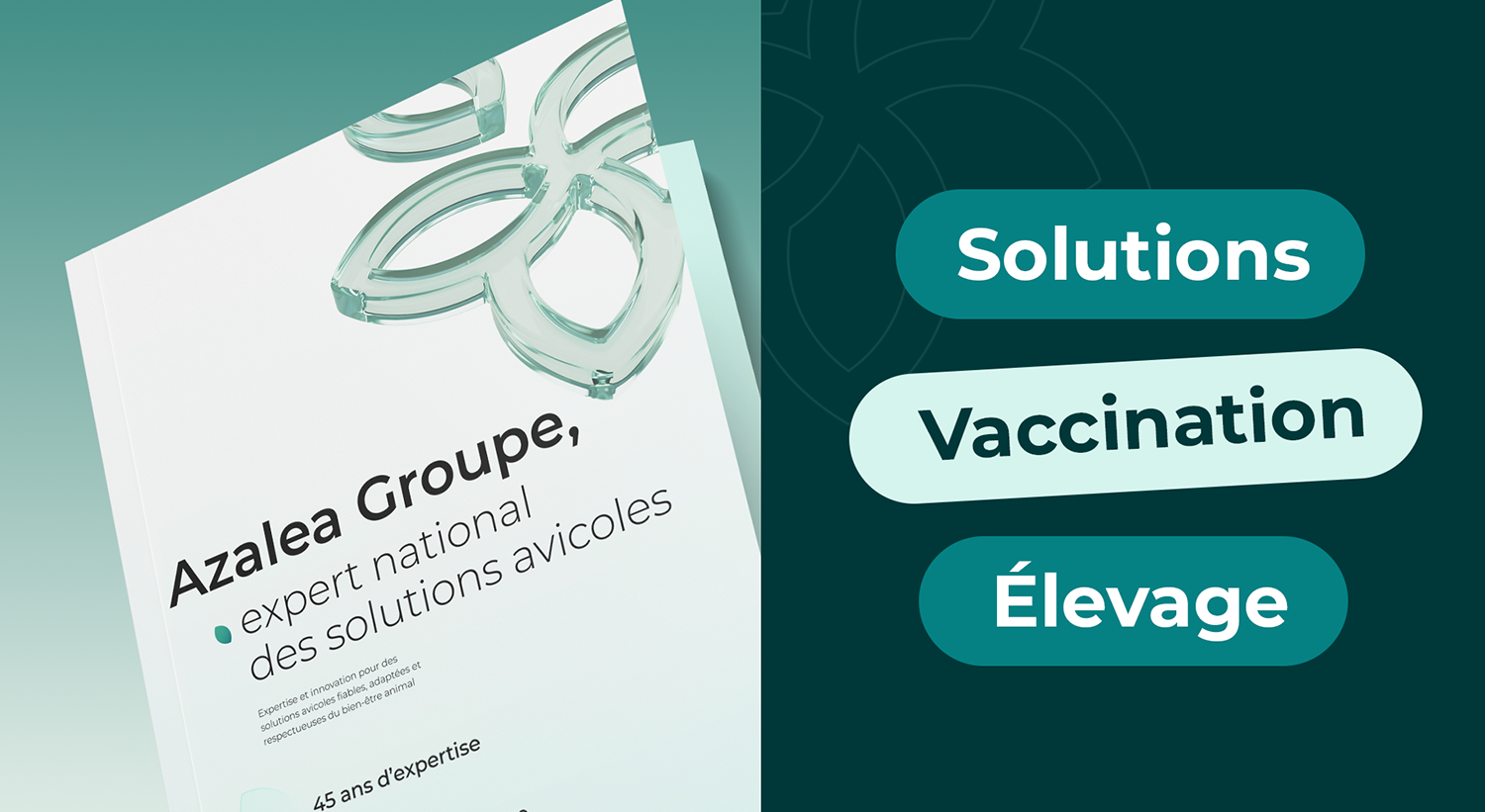 Agence web à Vannes creation site internet agriculture - azelty agence stratégie digitale
