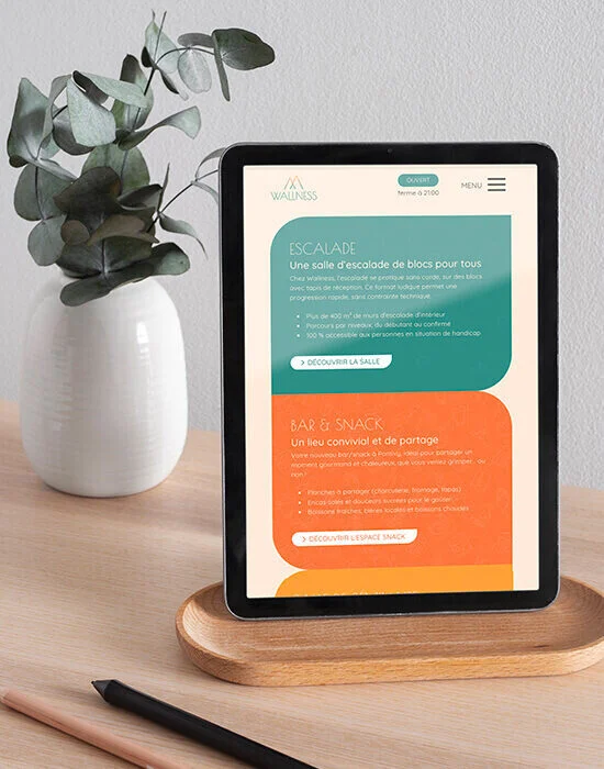 Wallness_agence web azelty vannes creation site internet loisirs tourisme_Ipad