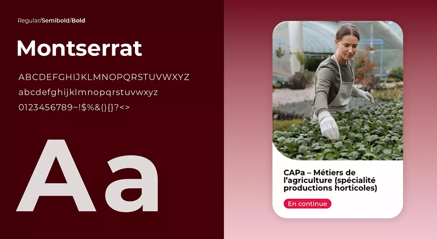 Agence web à Vannes Azelty création site internet campus agricole