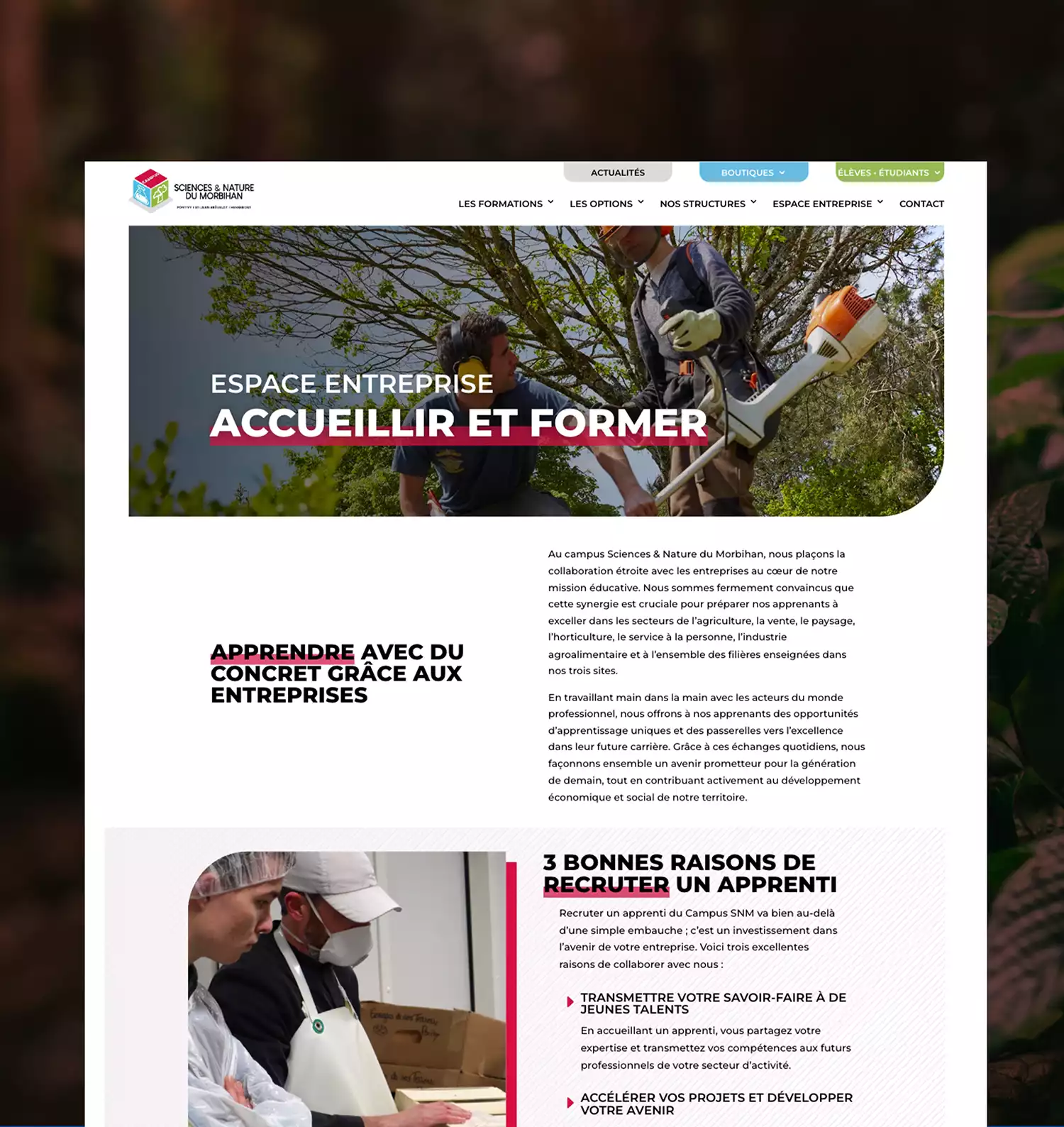 Agence web à Vannes Azelty création site internet ecole agricole