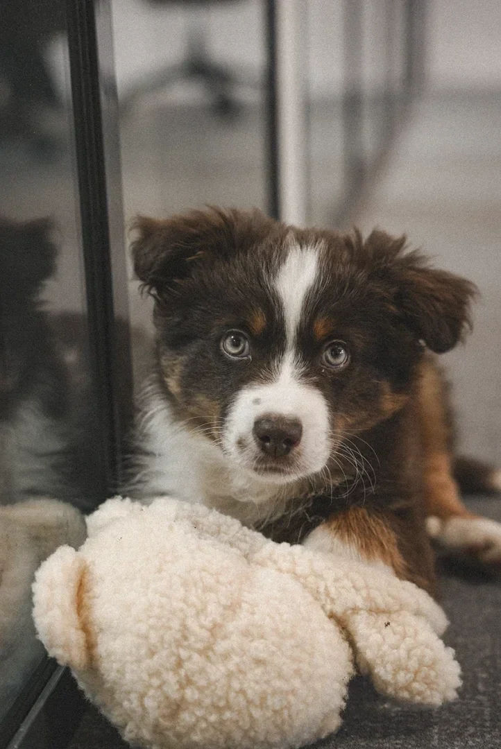 Equipe Azelty agence web a Vannes1