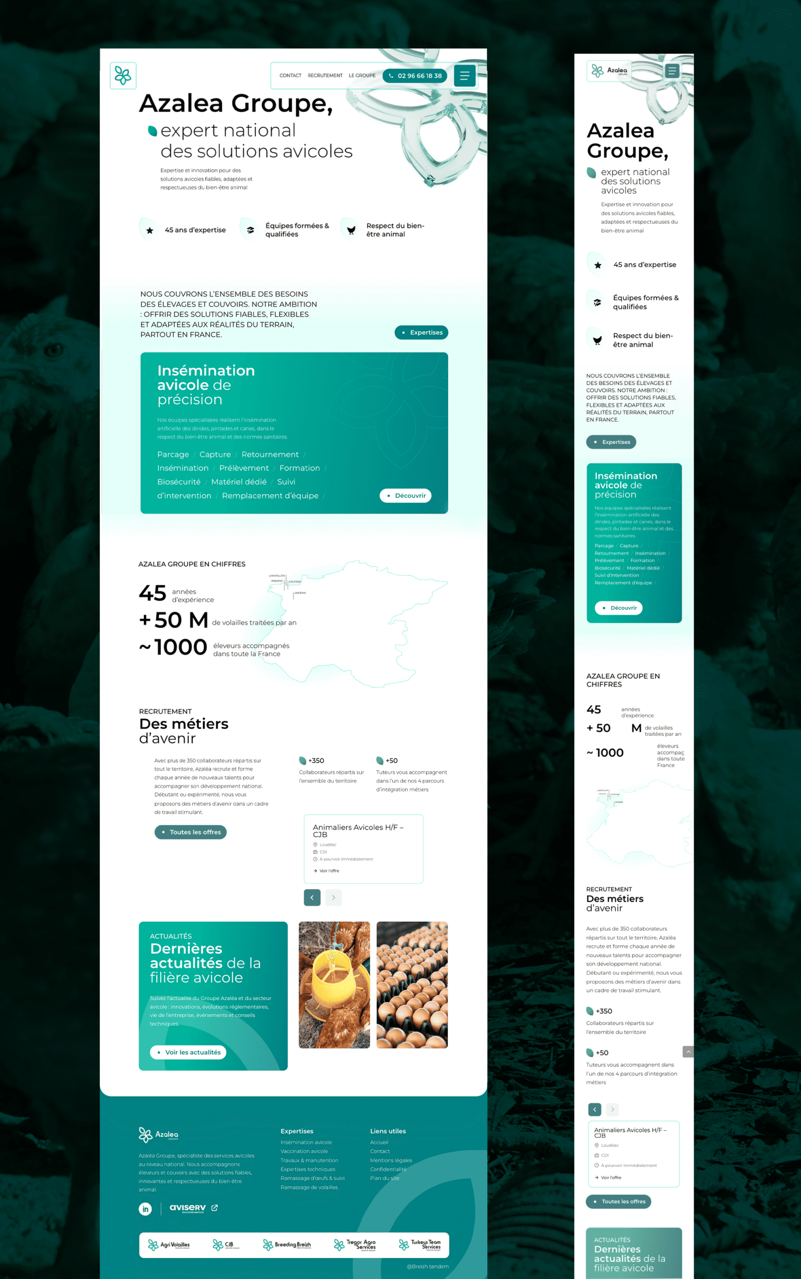 Agence stratégie digitale Azelty à Nante - création identité de marque et site internet